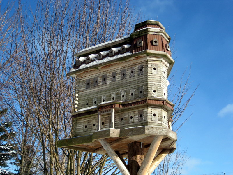 Extreme Birdhouses: Extreme Birdhouses