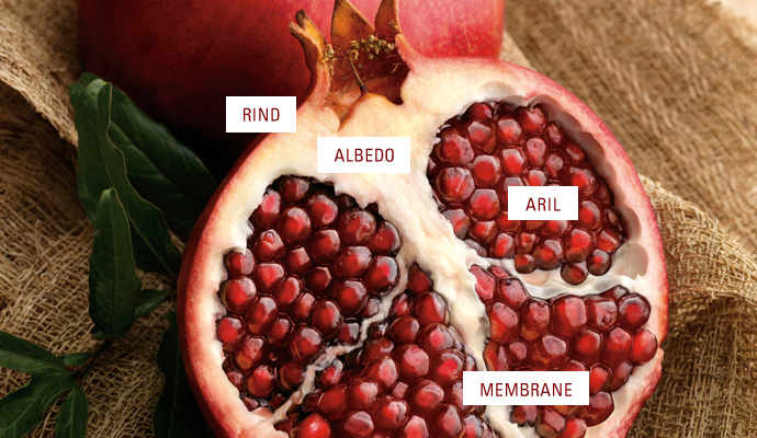 The Seeds How Much Pomegranate Can You Eat Pomegranate Seeds Ok To