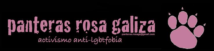 Panteras Rosa Galiza  --- Activismo anti-LGBTfobia---