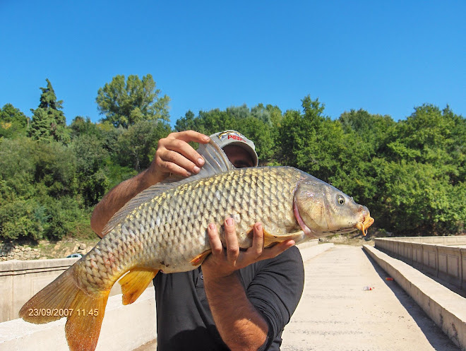 Carpa Comum 5,1 kg Setembro 2007