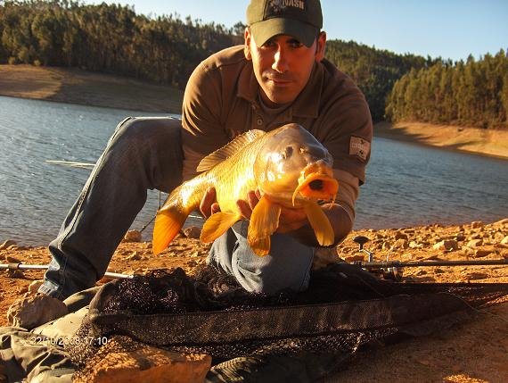 Carpa Comum 22 Outubro 2008