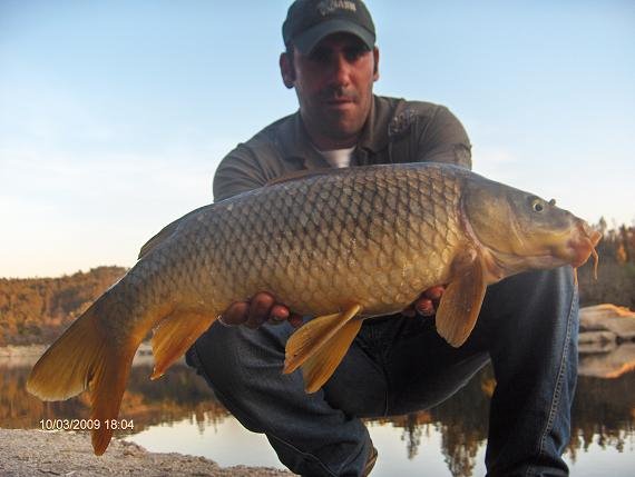 Carpa 5 kg 10 Março 2009