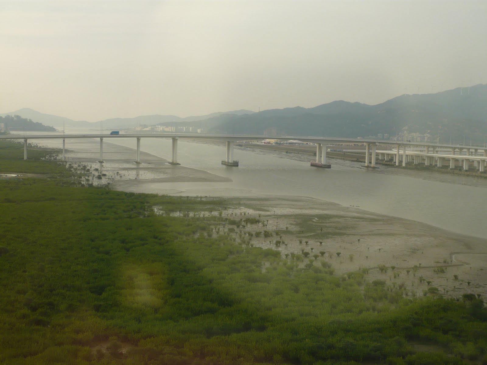 [macau+wetland.JPG]