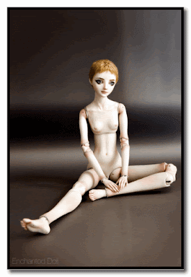 the enchanted doll marina bychkova