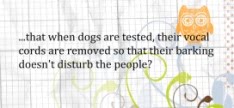 DID YOU KNOW...
