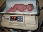 Kaden
