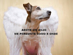 ADOTE UM CÃO