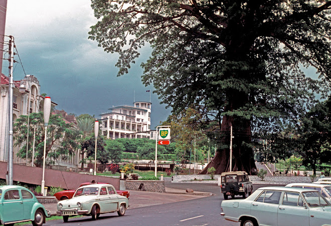 The Cotton Tree - Freetown