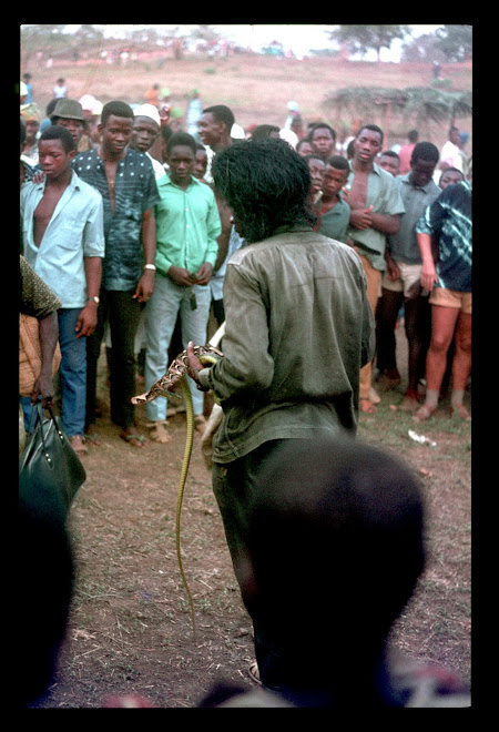 snake charmer at Koidu international market