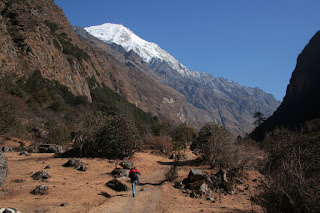 trek dans la vallée du lang tang