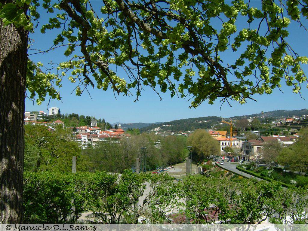 [Ulnus-Amarante-0504+(8).jpg]