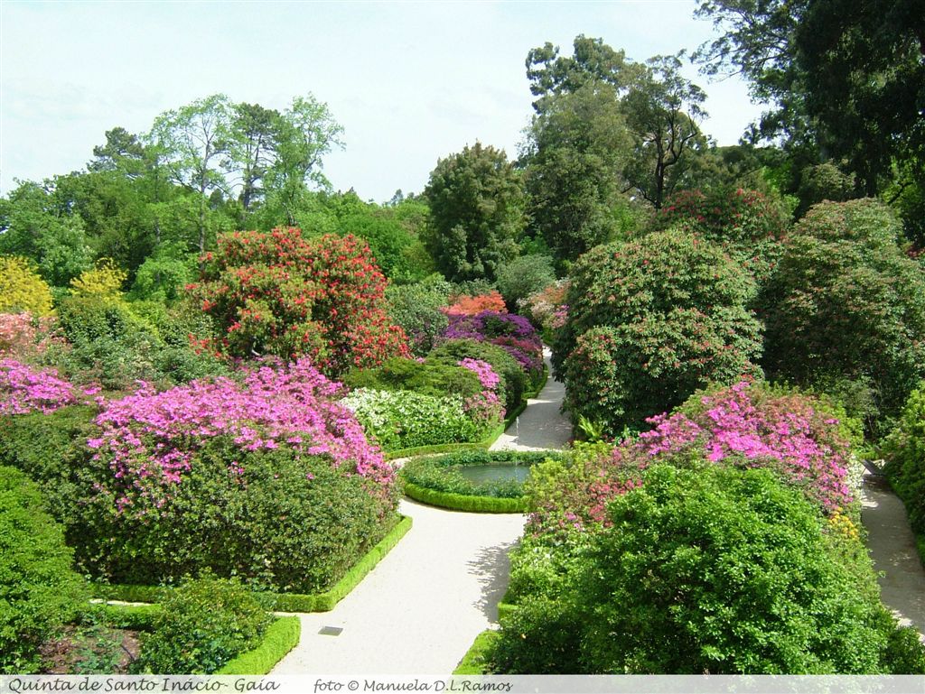 [Rododendros-S.Inacio-0604+(59).jpg]