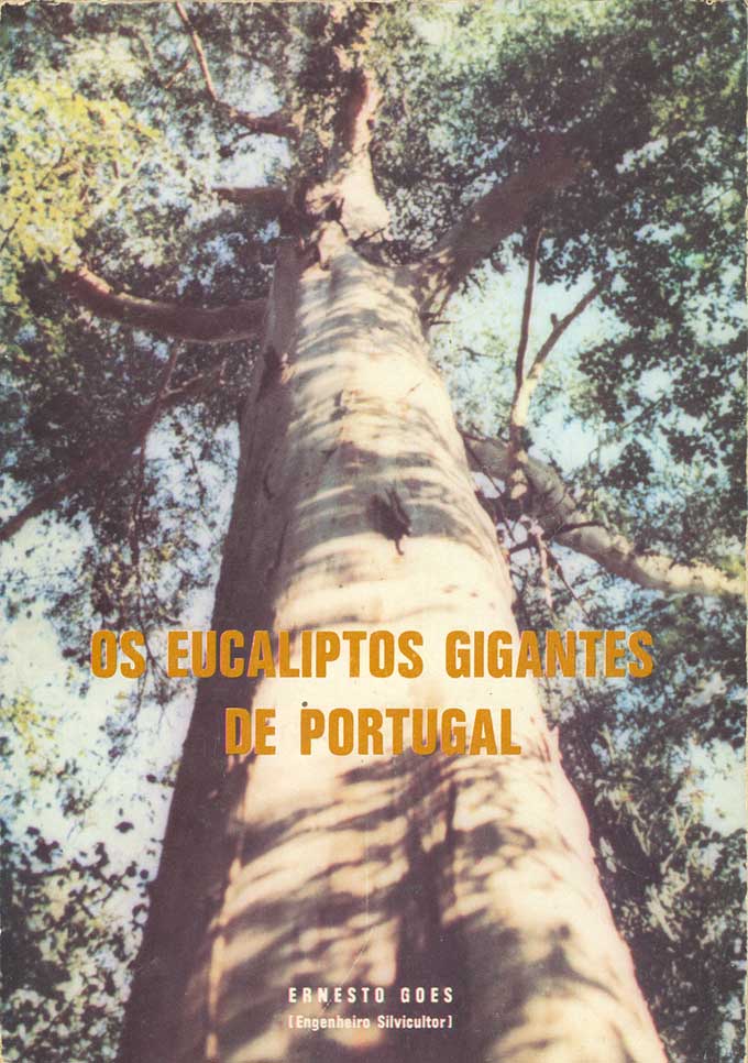 [eucaliptos-goes.jpg]