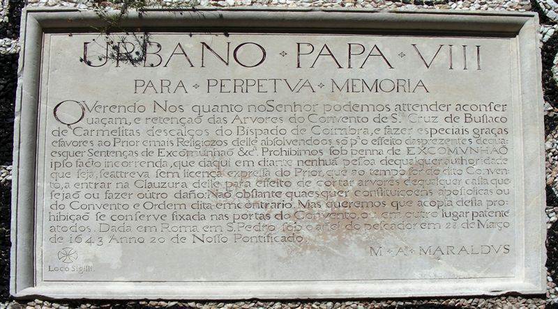 [Bucaco-bula-0708.jpg]