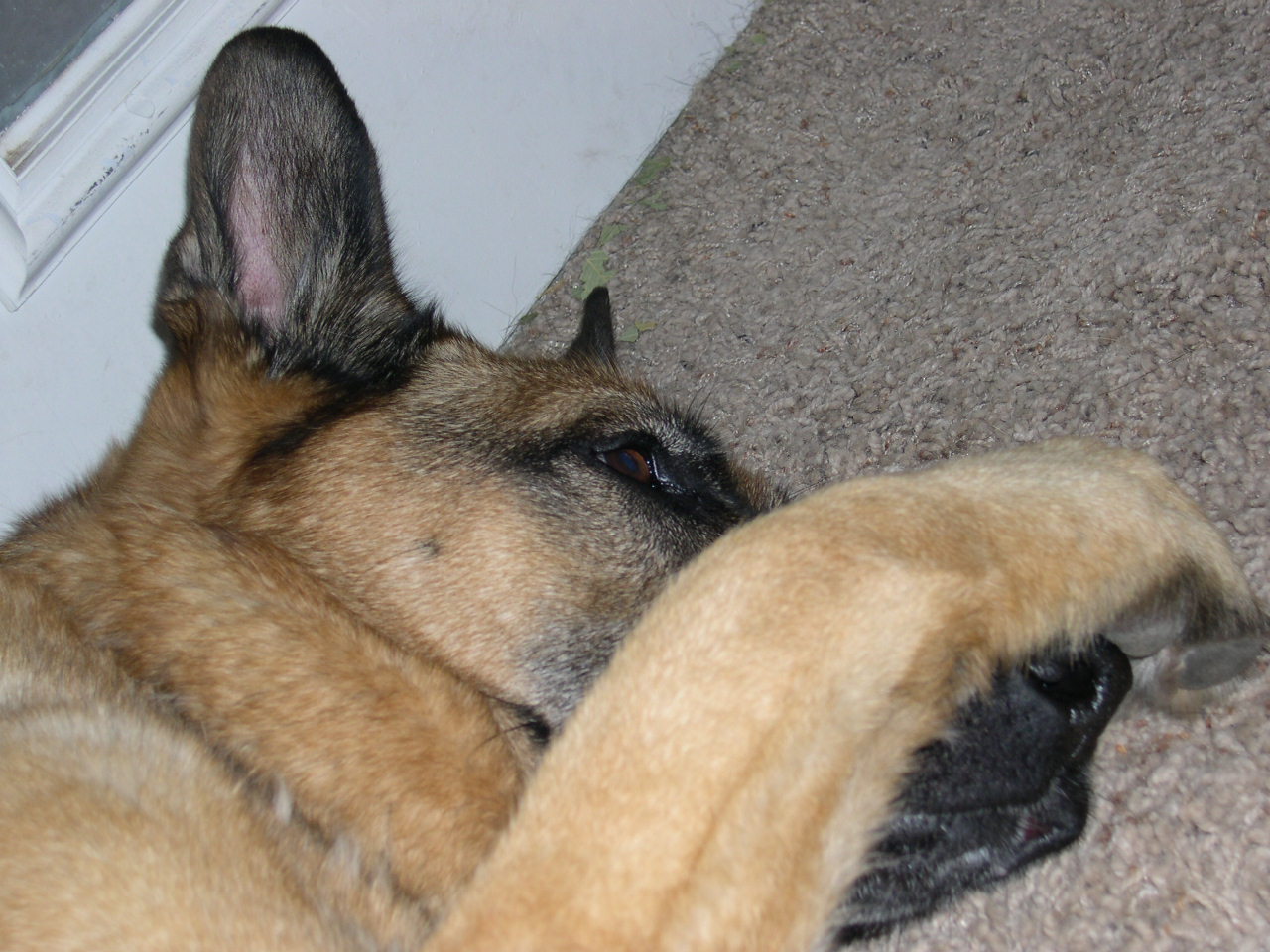 [Picturenov+004.jpg]