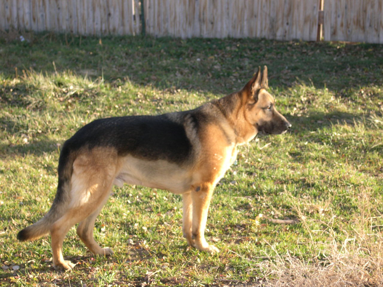 [Picturenov+009.jpg]