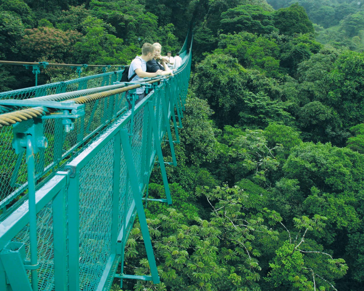 Monteverde Costa Rica. Monteverde cloud Forest Sky Bridge. Treetop Walkway. Monteverde купить. Мосты на каникулы 4