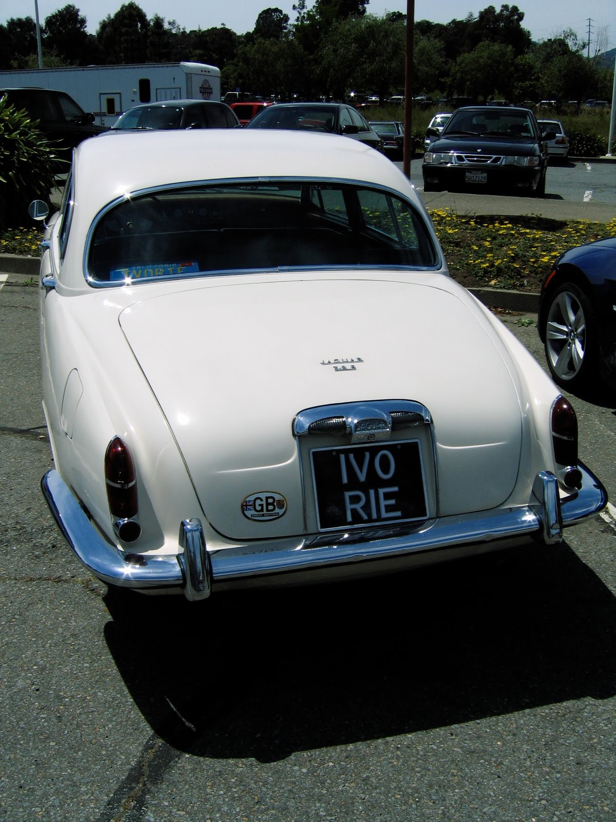 Tamerlane S Thoughts Marin Sonoma Concours Parking Lot