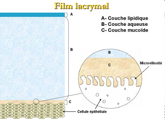 composition film lacrymal