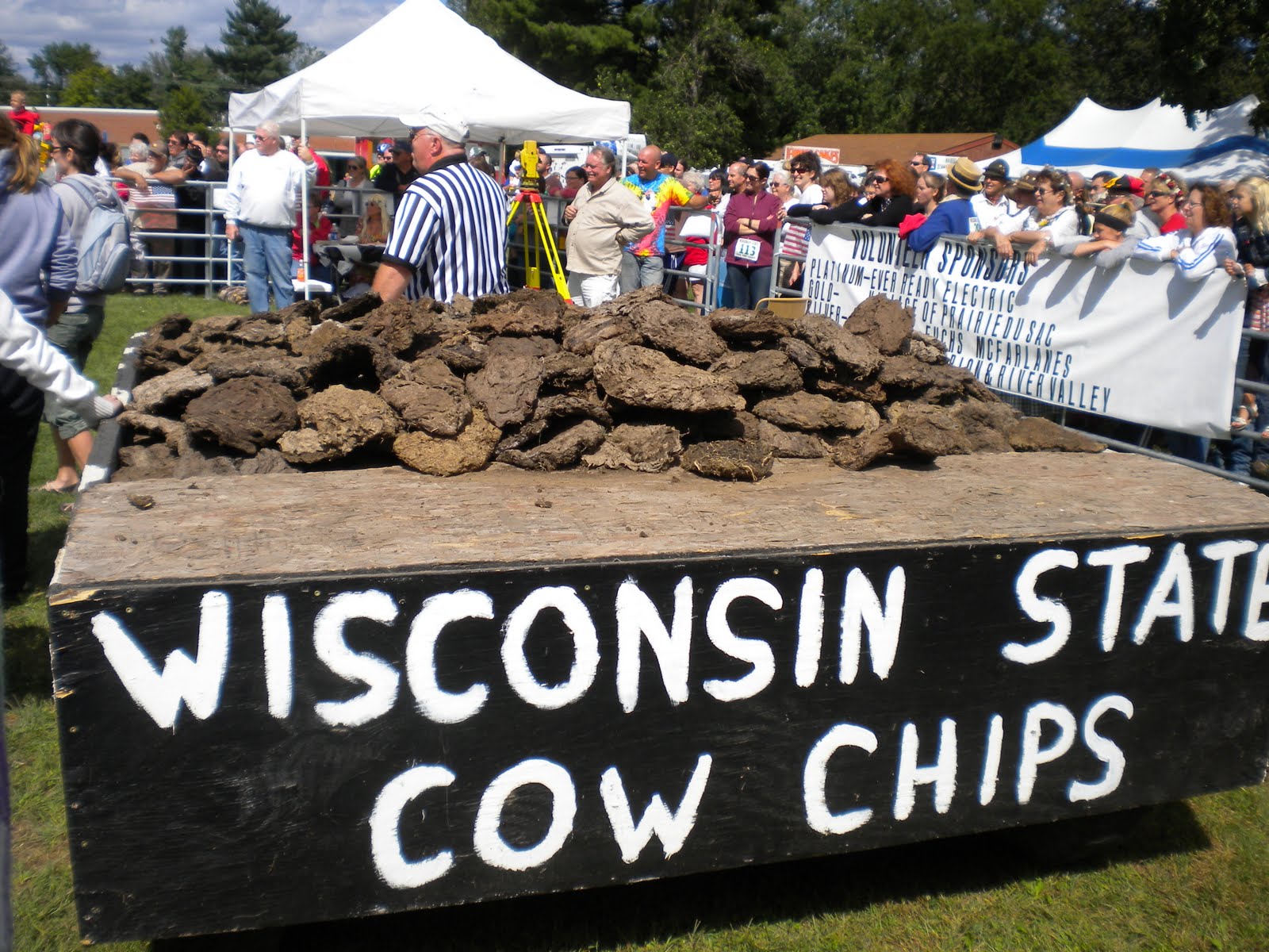 Living the good life in Grandmaville State Cow Chip Throwing Contest