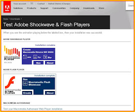 adobe flash player for windows 10 test