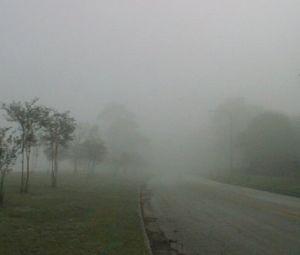 Interesting science facts about fog | Interesting Science Facts And