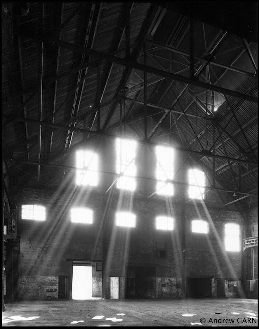 light streaming into electrical plant