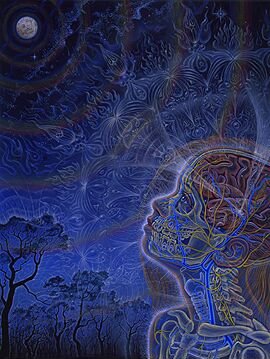 [wonder-AlexGrey.jpg]