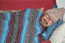 Peter bug in rug