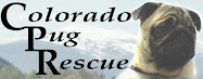 Colorado Pug Rescue