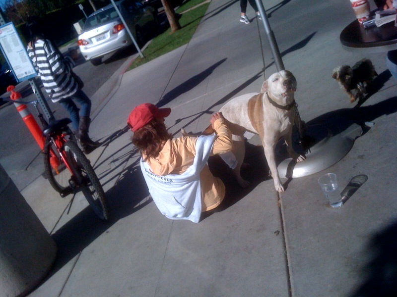 Heard at Starbucks: BEASTIALITY AT 7TH AND MONTANA!
