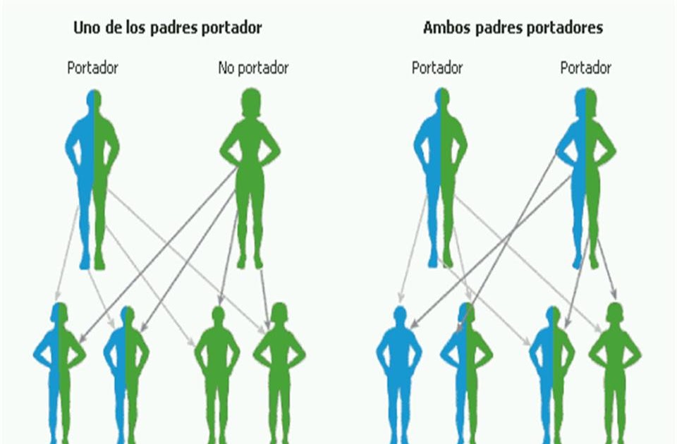 Fundacion FQ Hospital Bloom El Salvador