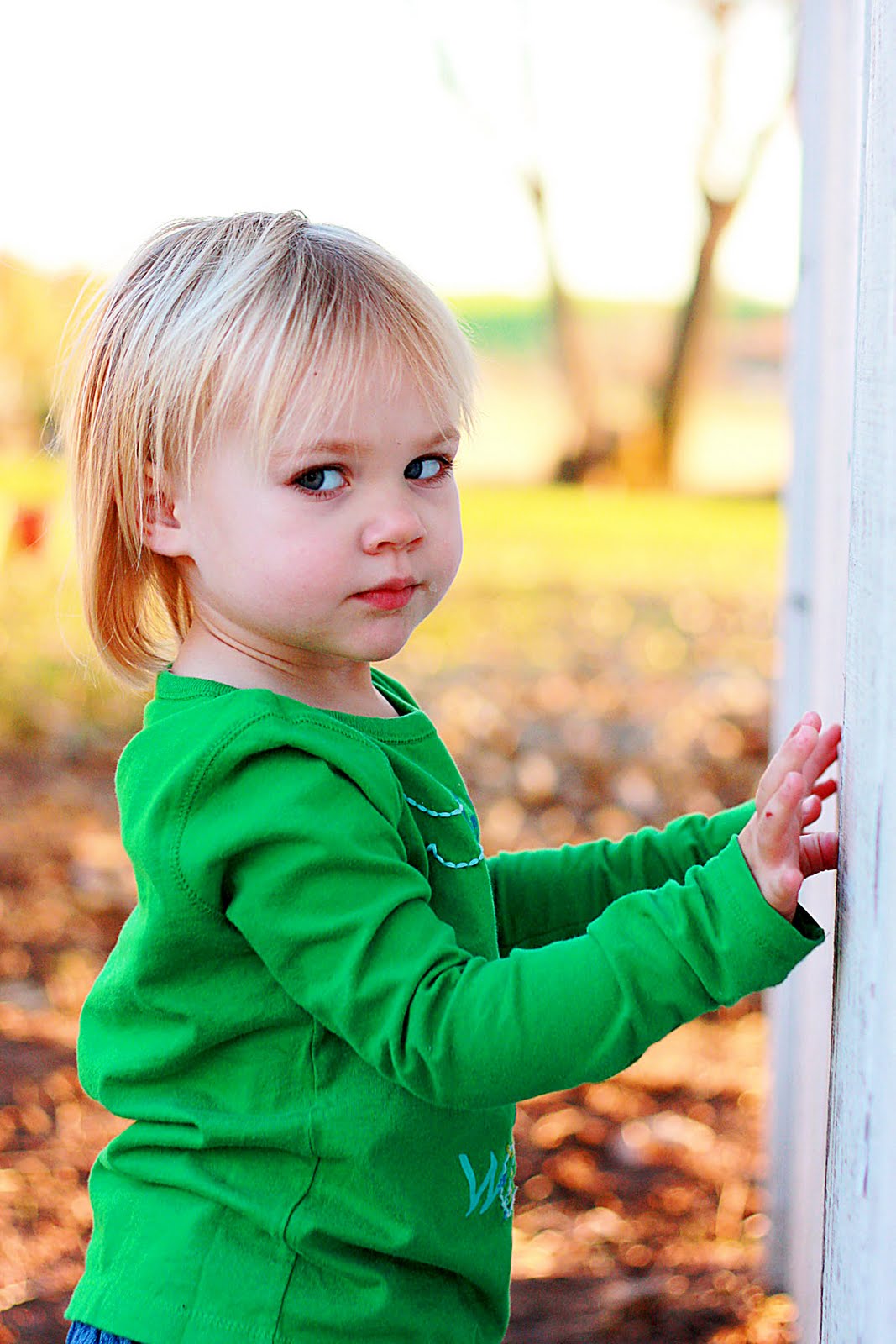 [IMG_7965colorful2.jpg]