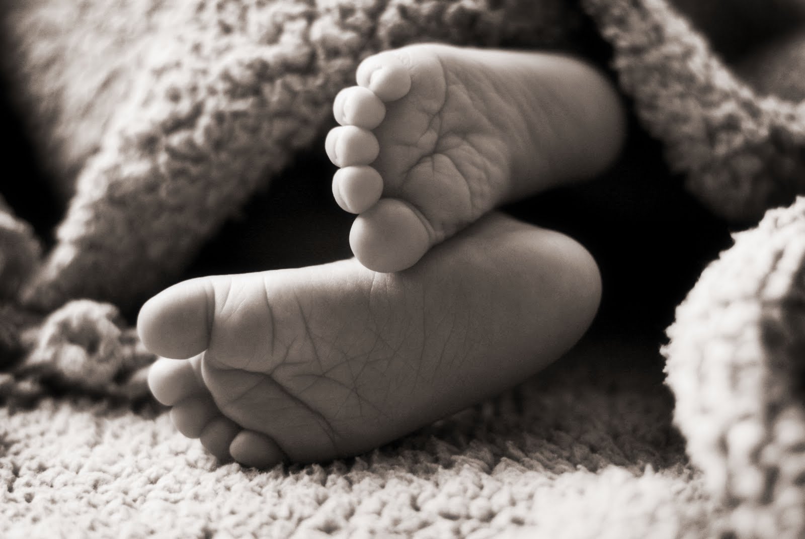 [IMG_1732chocsoft.jpg]