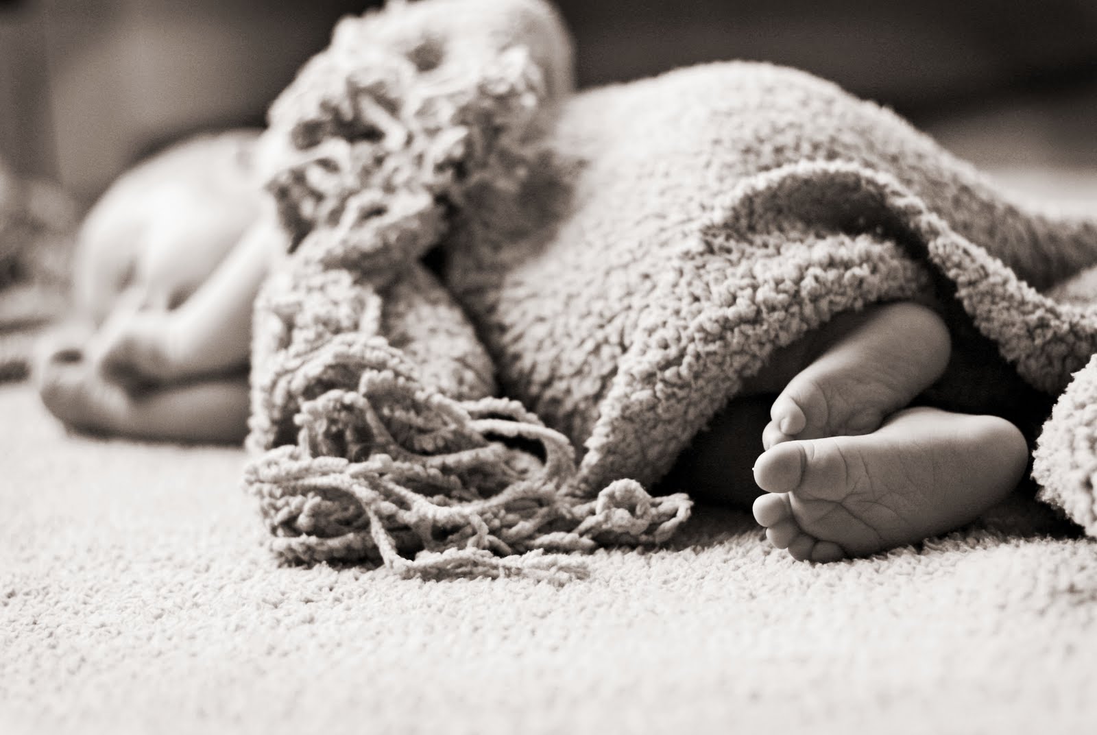 [IMG_1739brownie.jpg]