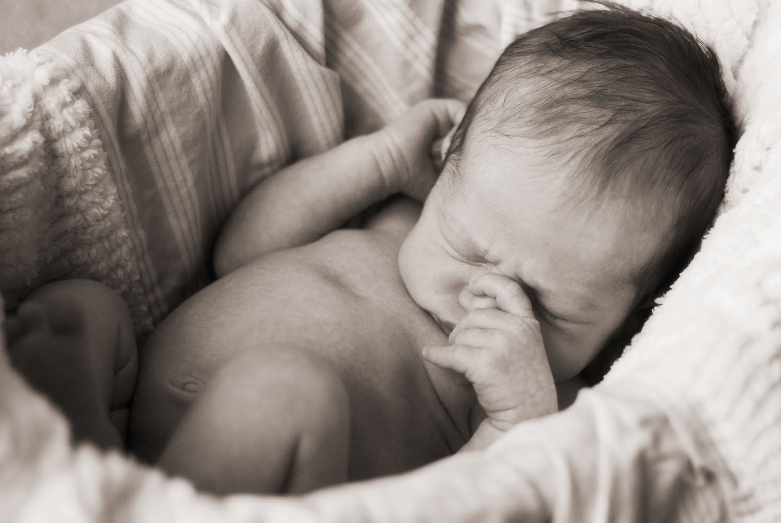 [IMG_1849chocsoft.jpg]