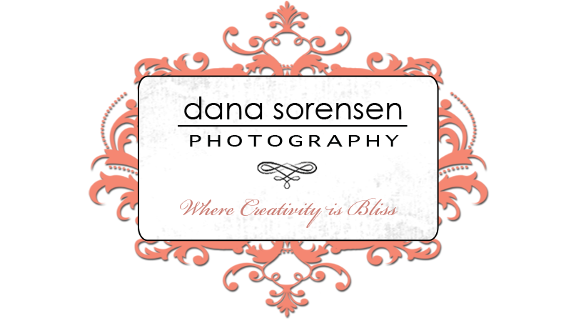 Dana Sorensen Photography