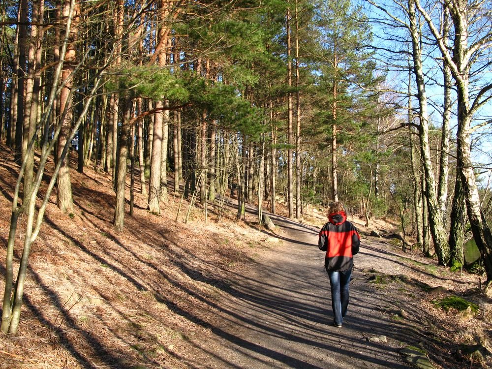[IMG_1536s.jpg]