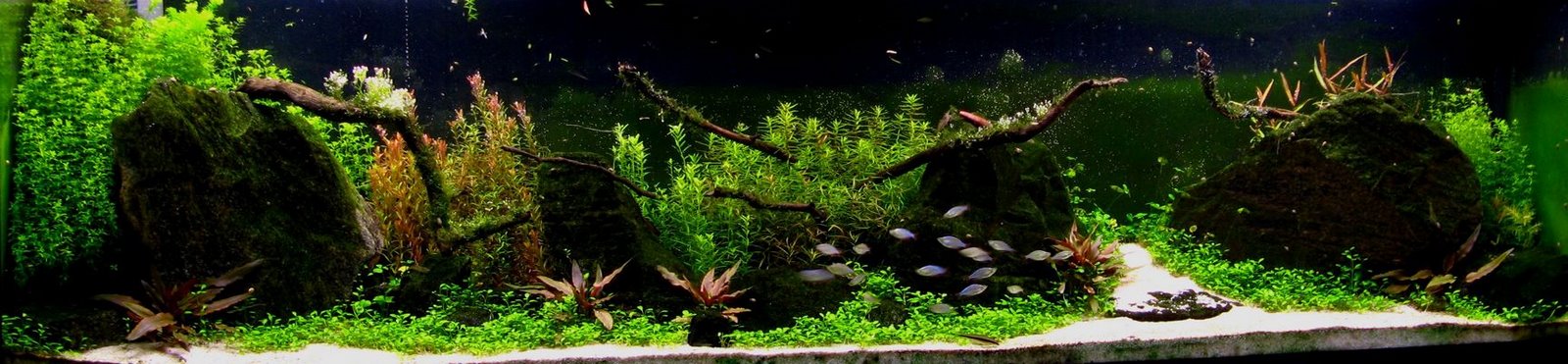 [IMG_3551ss+44sssss.jpg]