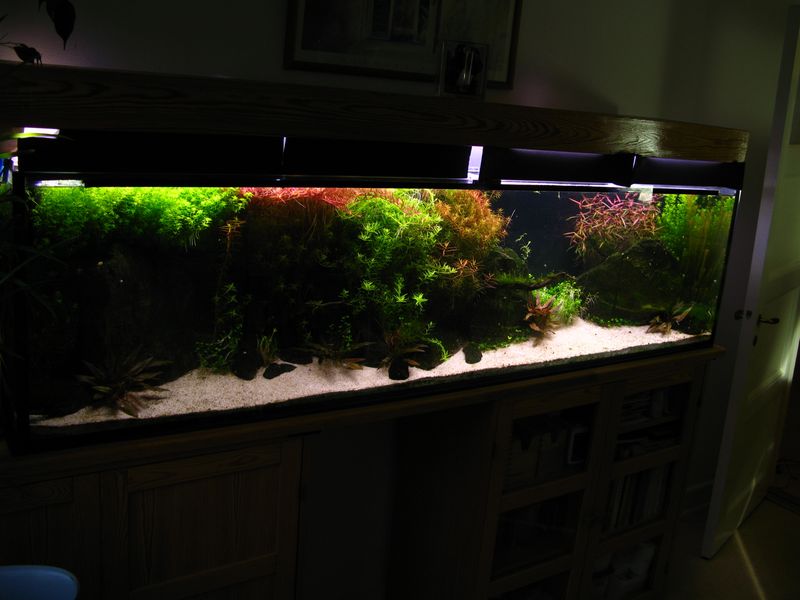 [IMG_4004sss.jpg]