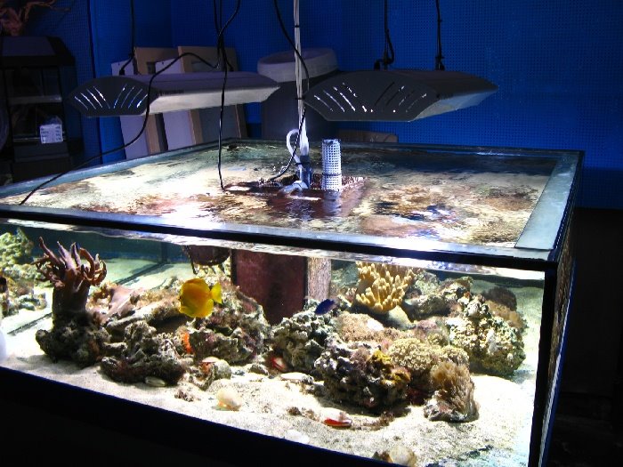 [IMG_4293.JPG]