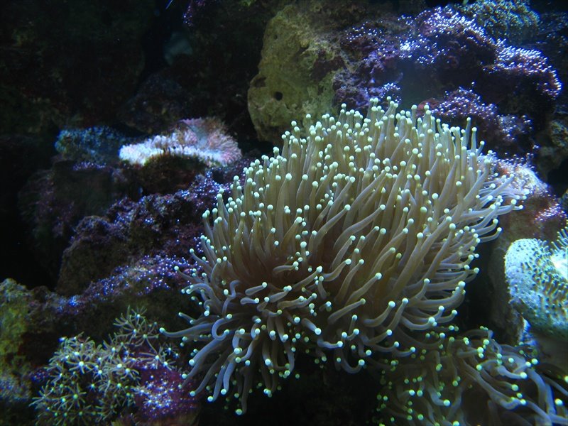 [IMG_4640.JPG]