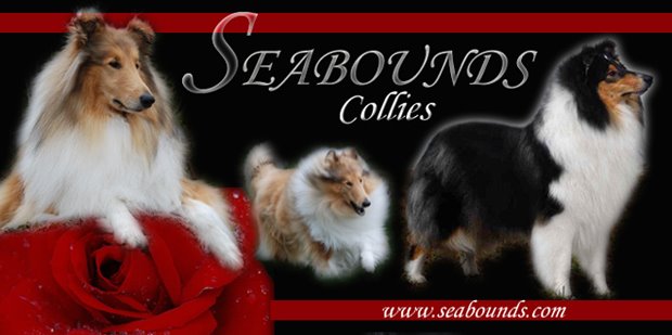 Seabounds
