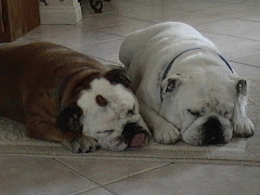 In Loving Memory - Sophie