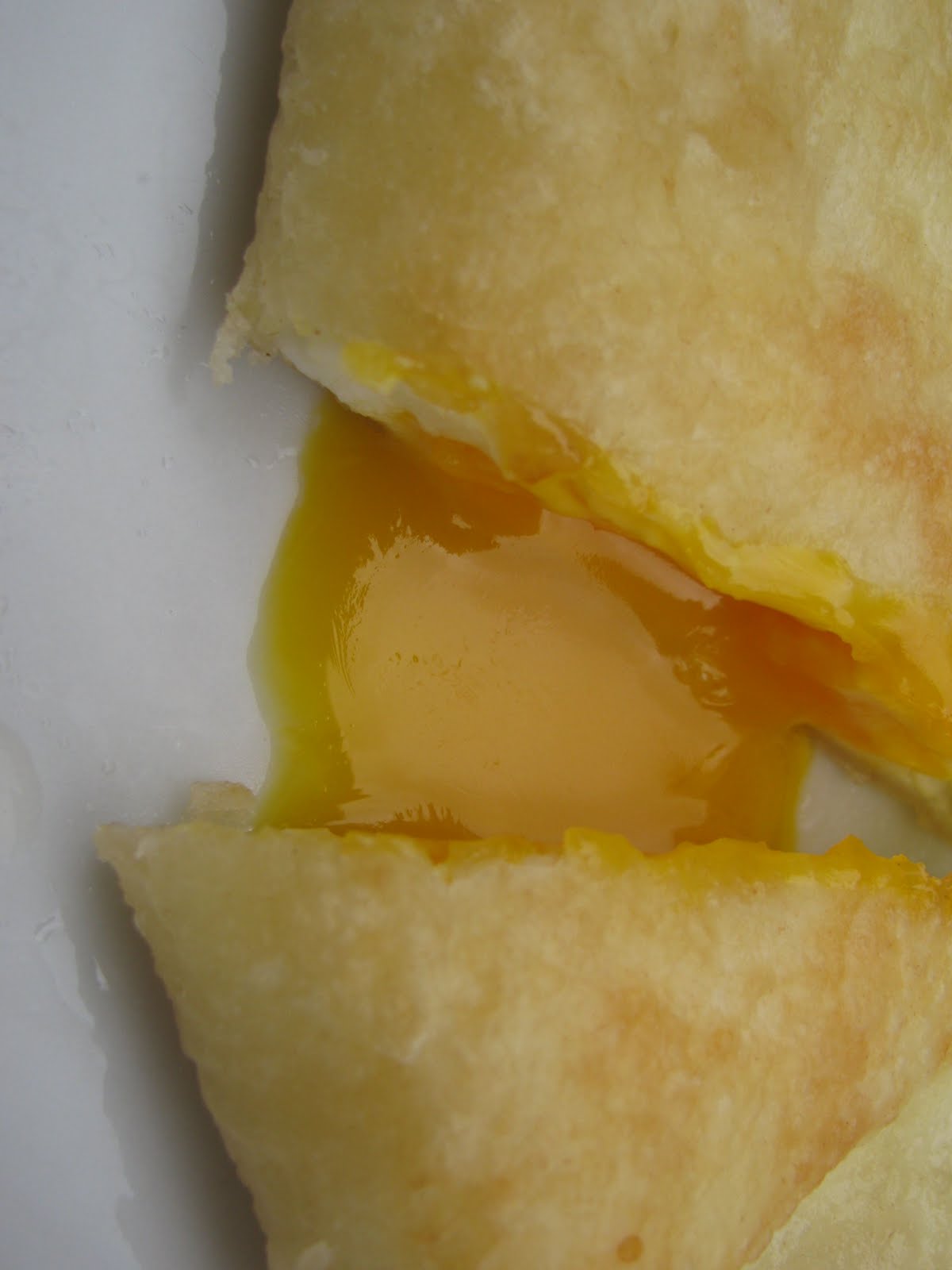 Cous Cous: Brik all'uovo Cous Cous: Brik all'uovo