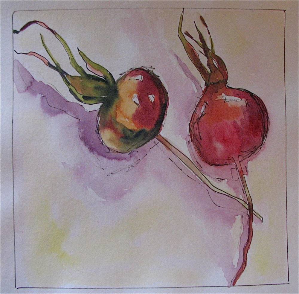 Kim Blair Artist: Rose Hip Study, by Canadian Artist Kim Blair