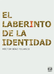 El laberinto de la identidad (2006)