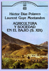 Agricultura y sociedad en El Bajío (S. XIX)