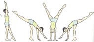 Mis Pasos | Drill Gimnastico