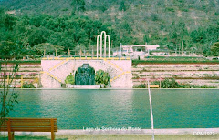 SÁ DA BANDEIRA-JARDIM E PISCINA DA CIDADE - ANO 1967.